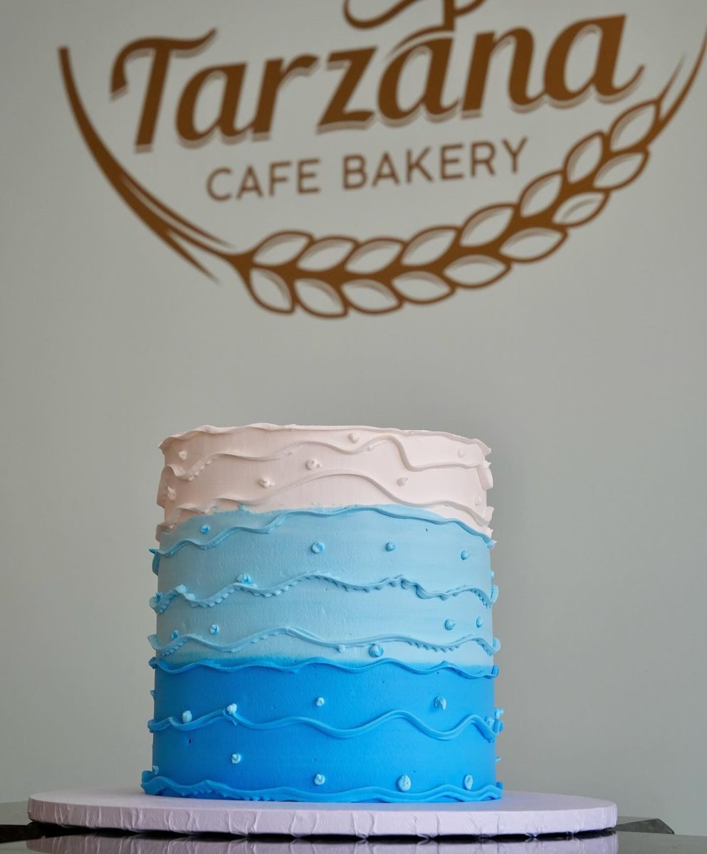 Blue and White Wavy Piped Cake from Tarzana Bakery