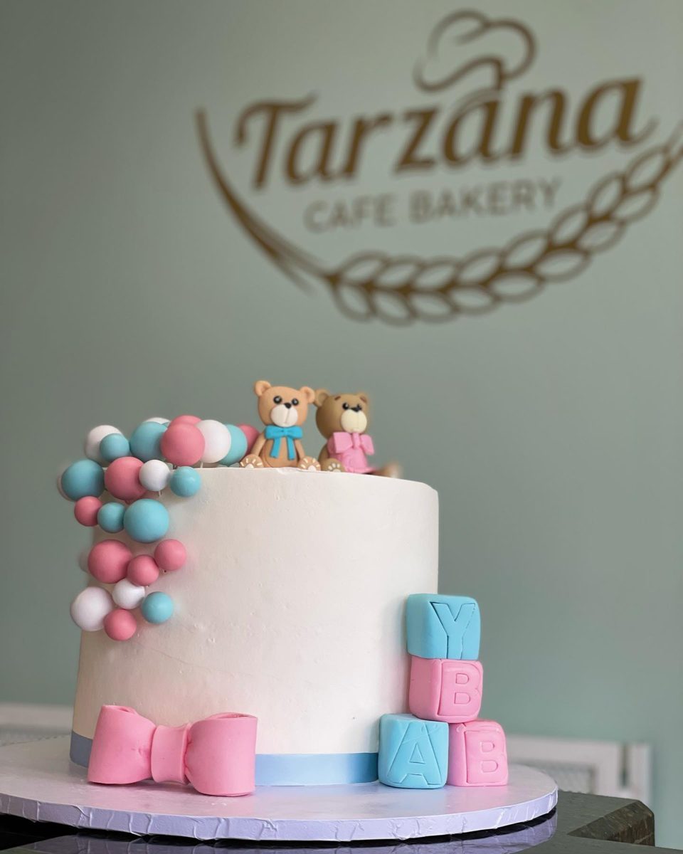 Pink and Blue Teddy Bear Cake from Tarzana Bakery